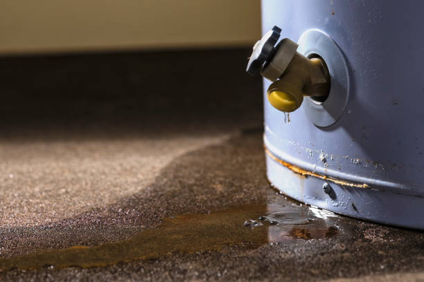Best Water damage restoration services  in Springfield, IL