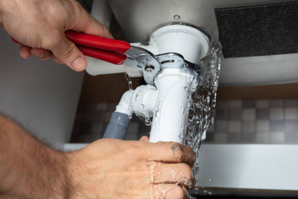 Best Flood restoration services  in Springfield, IL