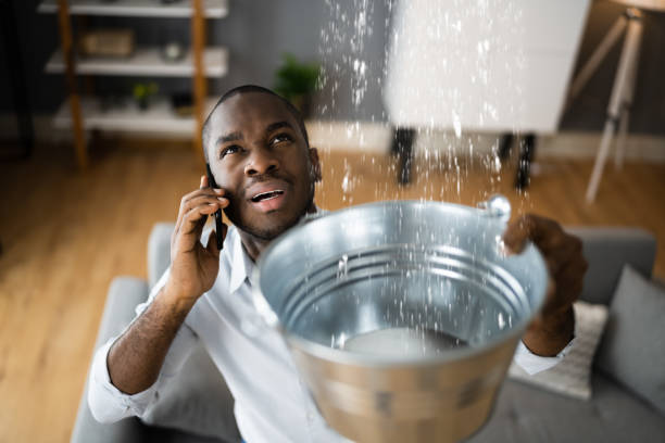 Best Water damage contractors near me  in Springfield, IL