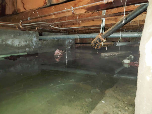 Best Sewage cleanup and water damage restoration  in Springfield, IL