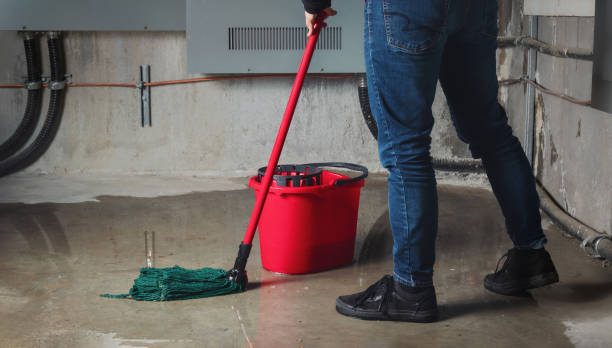 Best Carpet water damage restoration  in Springfield, IL