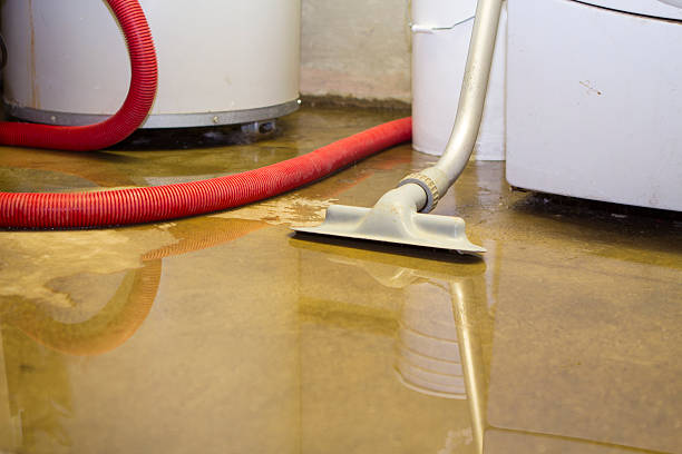 Best Water damage restoration near me  in Springfield, IL